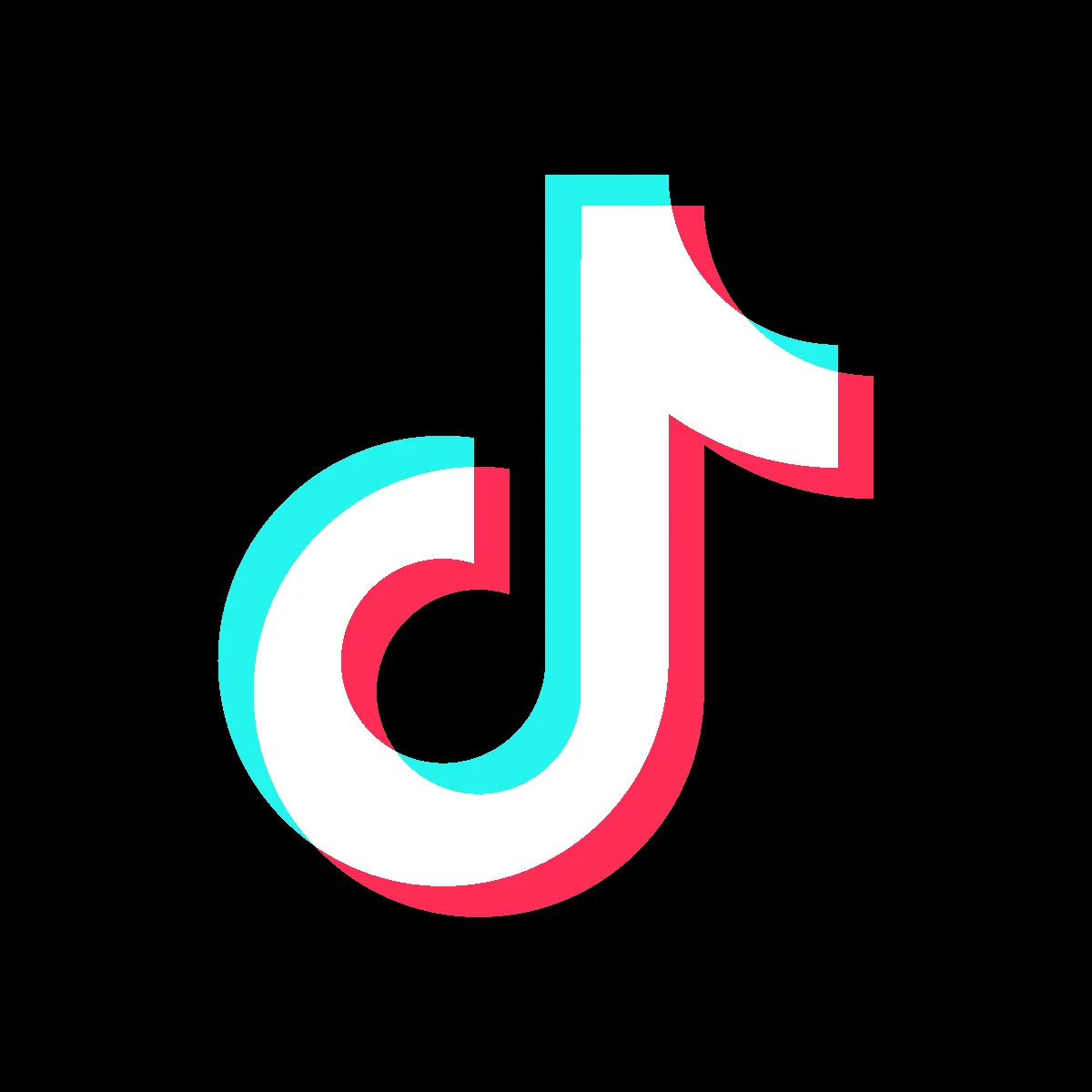 Most Followers - Tiktok